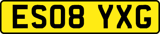 ES08YXG
