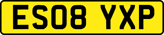 ES08YXP