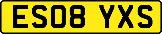 ES08YXS