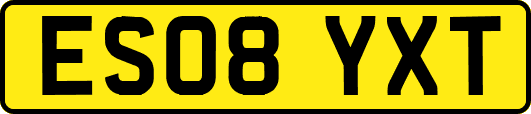 ES08YXT