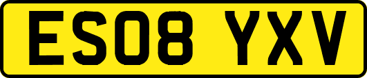 ES08YXV