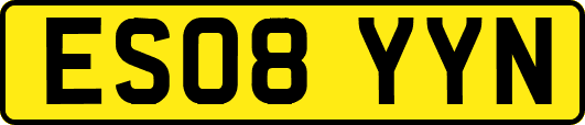 ES08YYN
