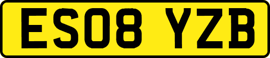 ES08YZB