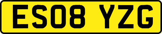 ES08YZG