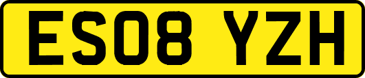 ES08YZH