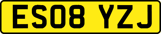 ES08YZJ