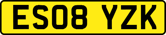 ES08YZK