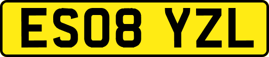 ES08YZL