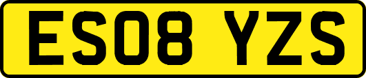 ES08YZS