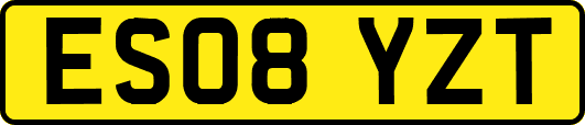 ES08YZT