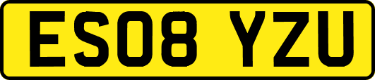 ES08YZU