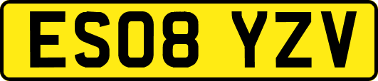 ES08YZV