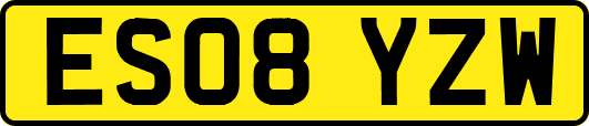 ES08YZW