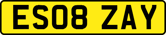 ES08ZAY