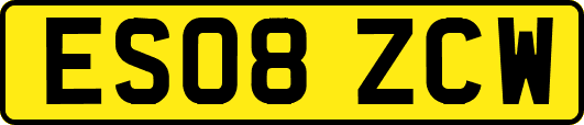 ES08ZCW