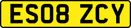ES08ZCY
