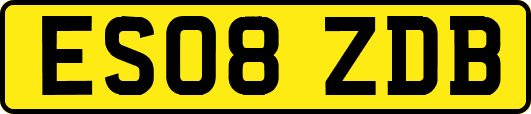 ES08ZDB