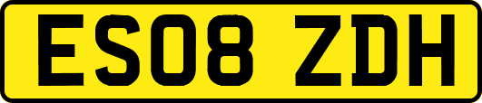 ES08ZDH