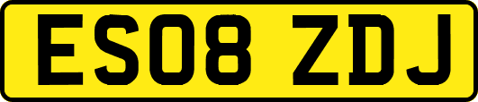 ES08ZDJ