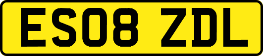 ES08ZDL