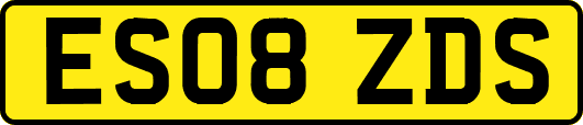ES08ZDS