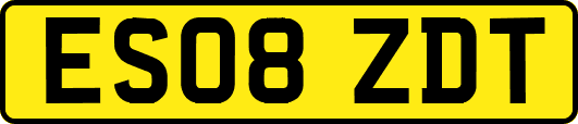 ES08ZDT