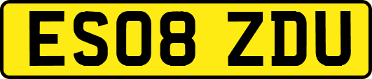 ES08ZDU