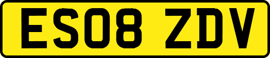 ES08ZDV