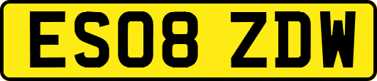 ES08ZDW