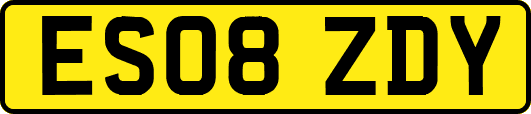ES08ZDY
