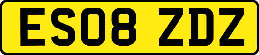 ES08ZDZ