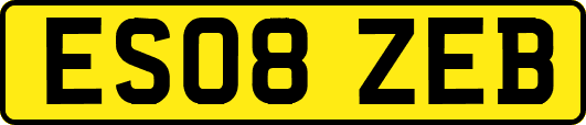 ES08ZEB