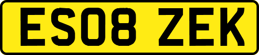 ES08ZEK