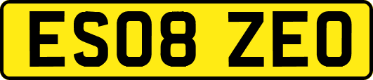 ES08ZEO