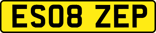 ES08ZEP
