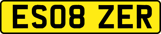 ES08ZER