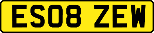 ES08ZEW