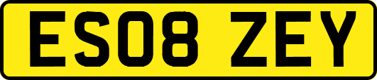 ES08ZEY