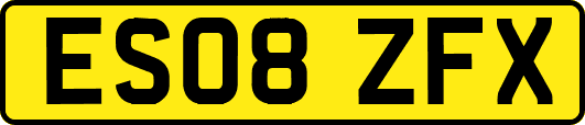 ES08ZFX