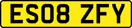 ES08ZFY