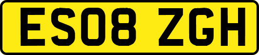 ES08ZGH