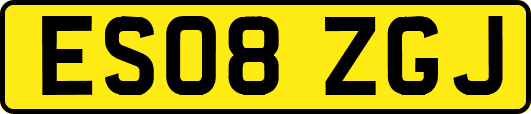 ES08ZGJ