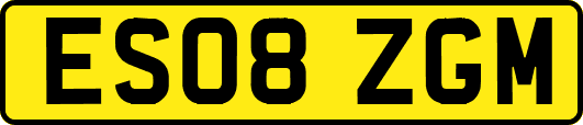 ES08ZGM