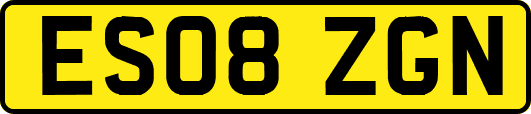 ES08ZGN