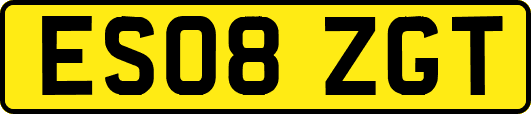 ES08ZGT