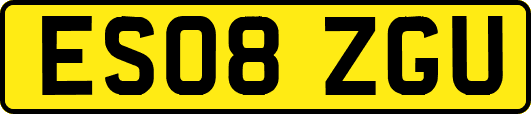 ES08ZGU