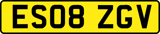 ES08ZGV