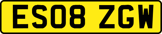 ES08ZGW