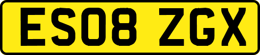 ES08ZGX