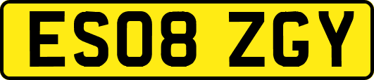 ES08ZGY